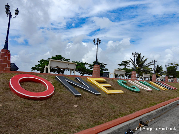 one guyana