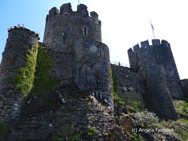 conwy castle