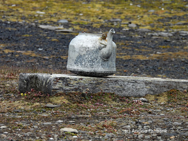 old kettle