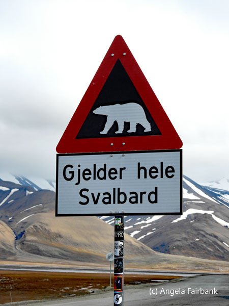 polar bear warning sign