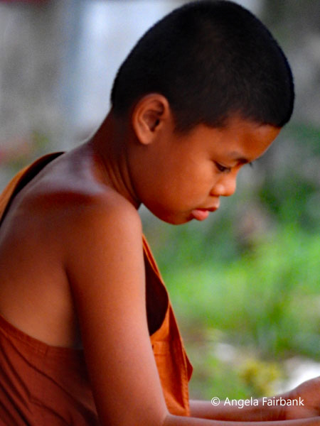 novice