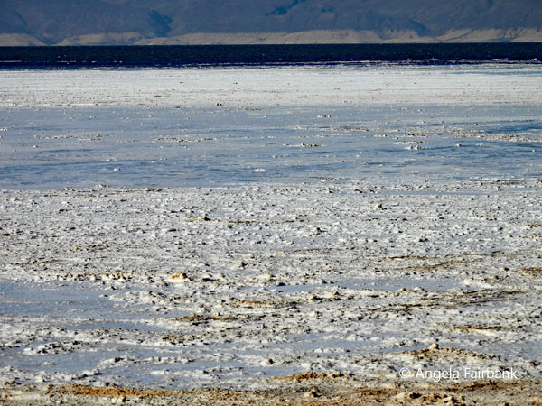 Lac Assal