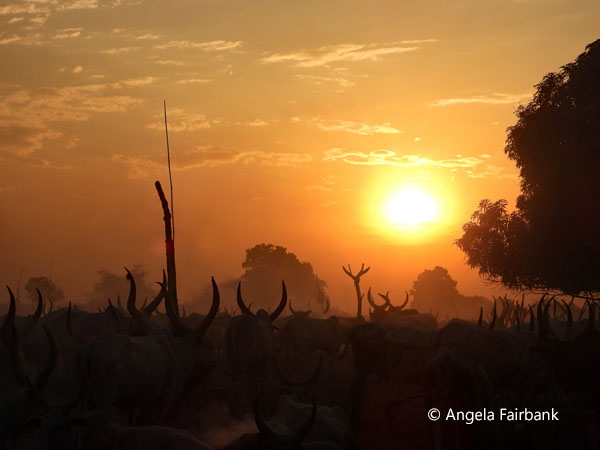 mundari camp scene 32
