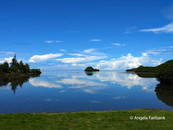 reflecting water 2