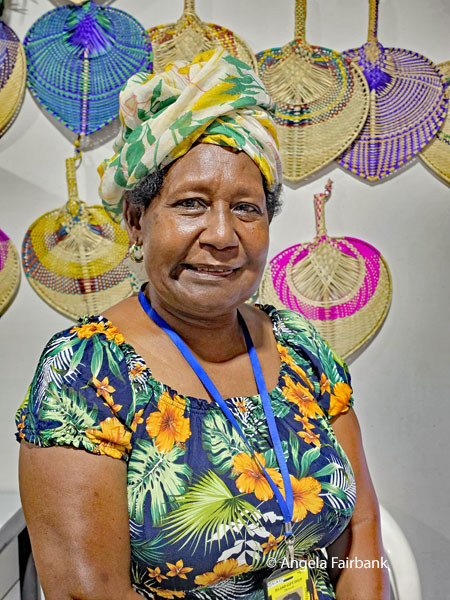 solomons airport fan vendor