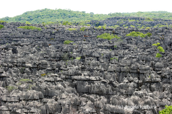 tsingy 1