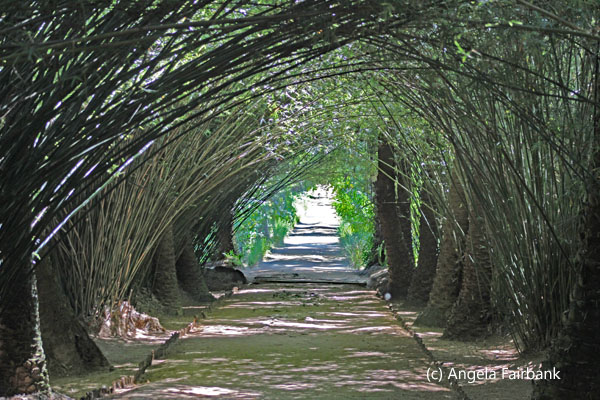 bamboo archway