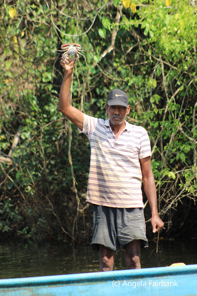 crab fisher