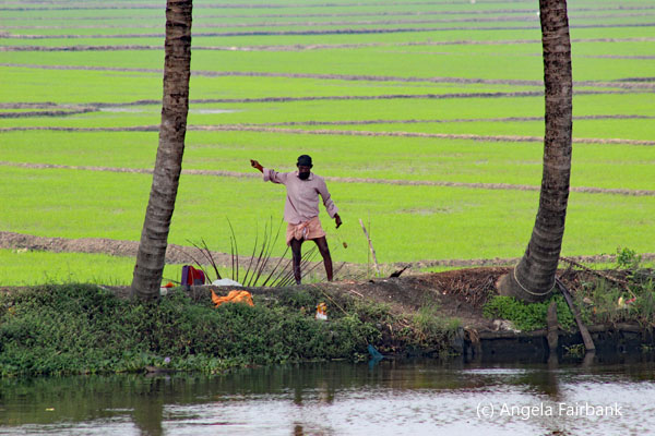 man fishing from bank