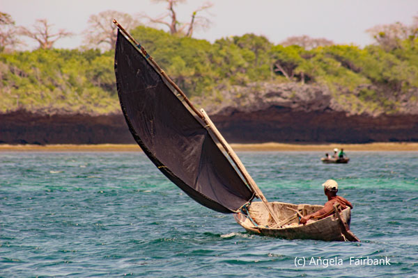 boat with sail