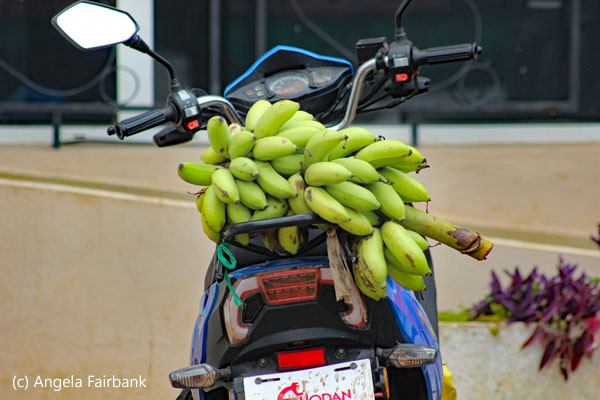 bananas on motorbike