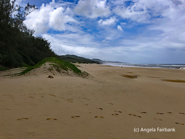 cape vidal 1