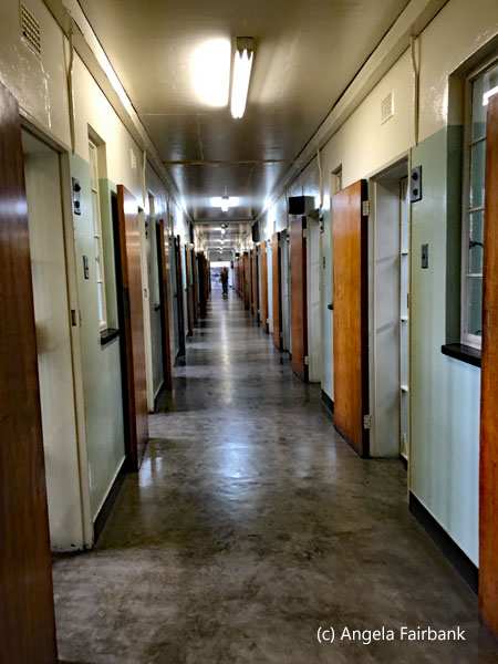 inside corridor of cells
