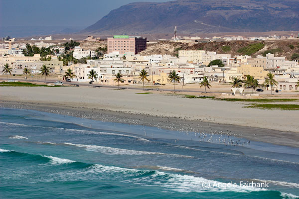 beach scene 3