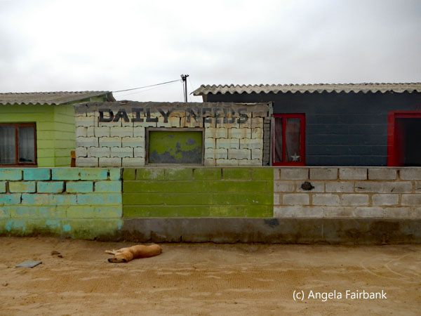 daily needs and dog