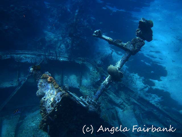 Grand Cayman, copyright Angela Fairbank