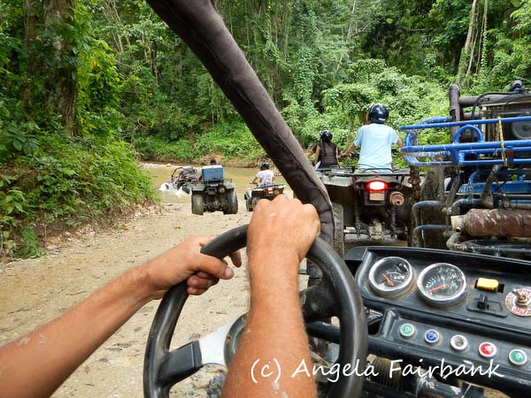 driving buggy