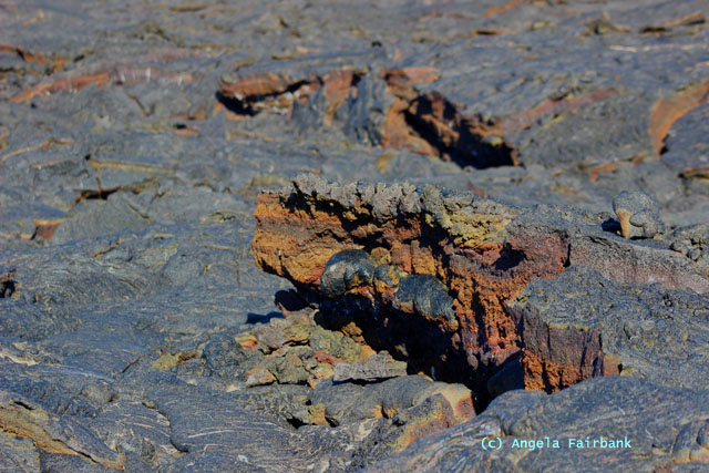 lava field - colours