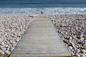 beach