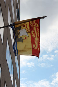 New Brunswick flag