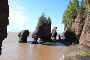 Hopewell Rocks higher tide