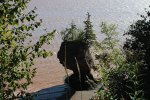 Indian head rock