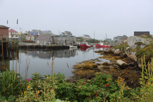 cove view 1