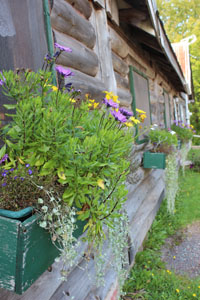 sugar moon farm building