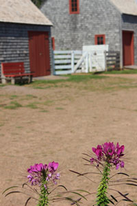 barn