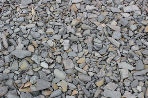 stony shore