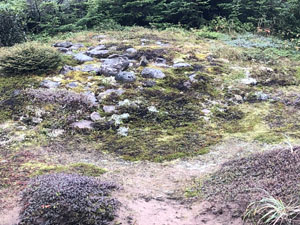 Anse Amour burial ground