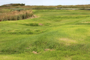 Anse aux Meadows mounds