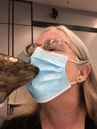 kissing the cod