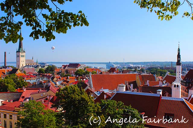 Tallinn, copyright Angela Fairbank