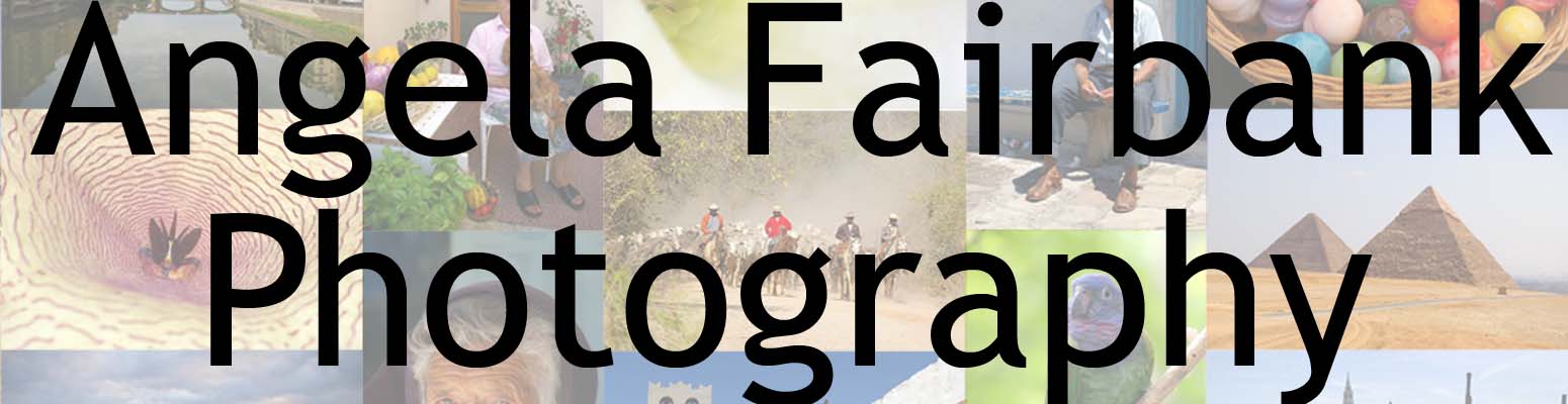 Angela Fairbank Photography