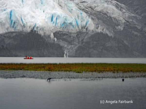aguila glacier with scientific research boat