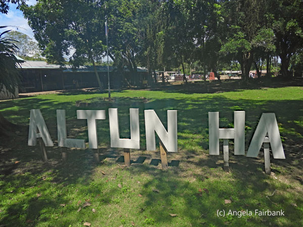 altun ha sign