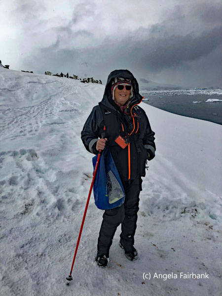 me in front of gentoo penguins
