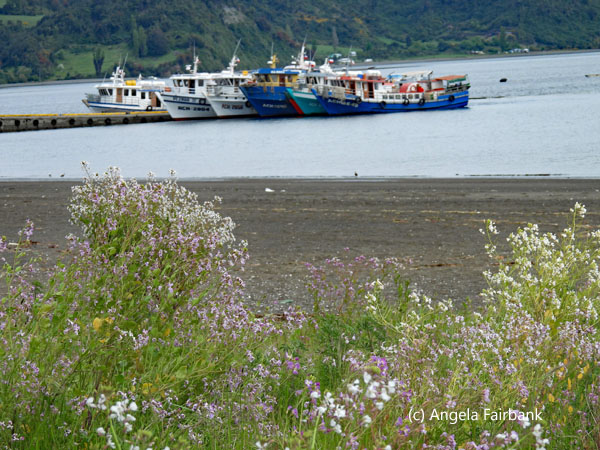 boats and achao beach