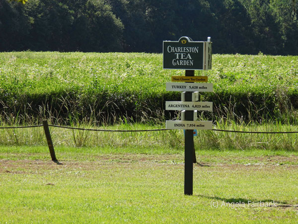 tea garden sign