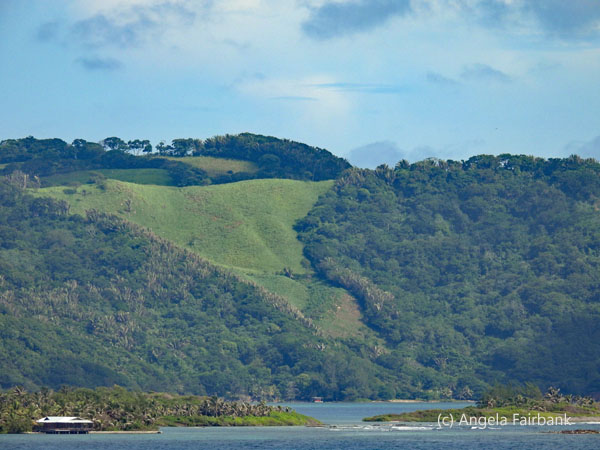grassy hill