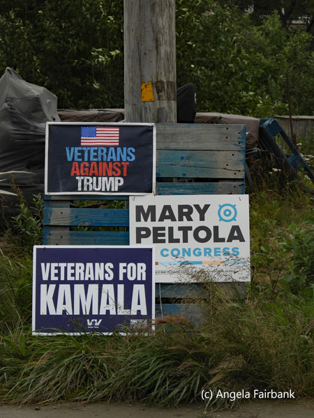 election signs