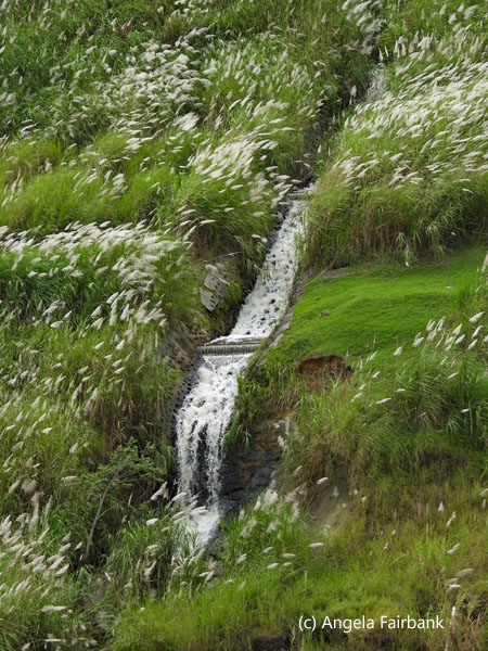 stream down hill 1