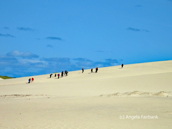 people climbing dune