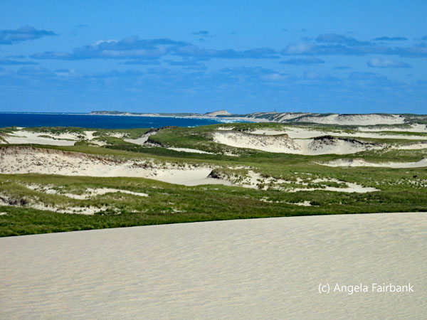 view east from top of sand dune