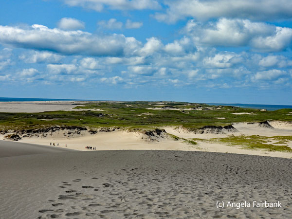 view west from top of sand dune