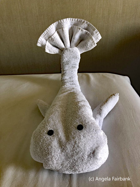 towel whale