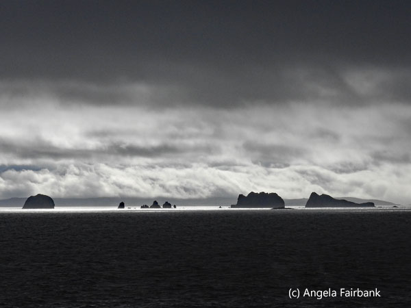 islands in a patch of sunlight