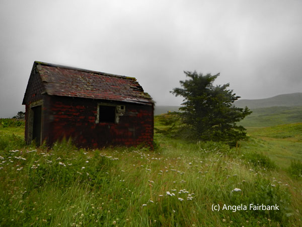 abandoned house