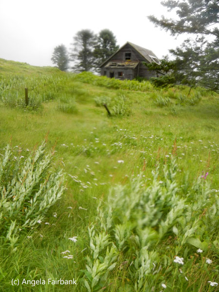 house on hill
